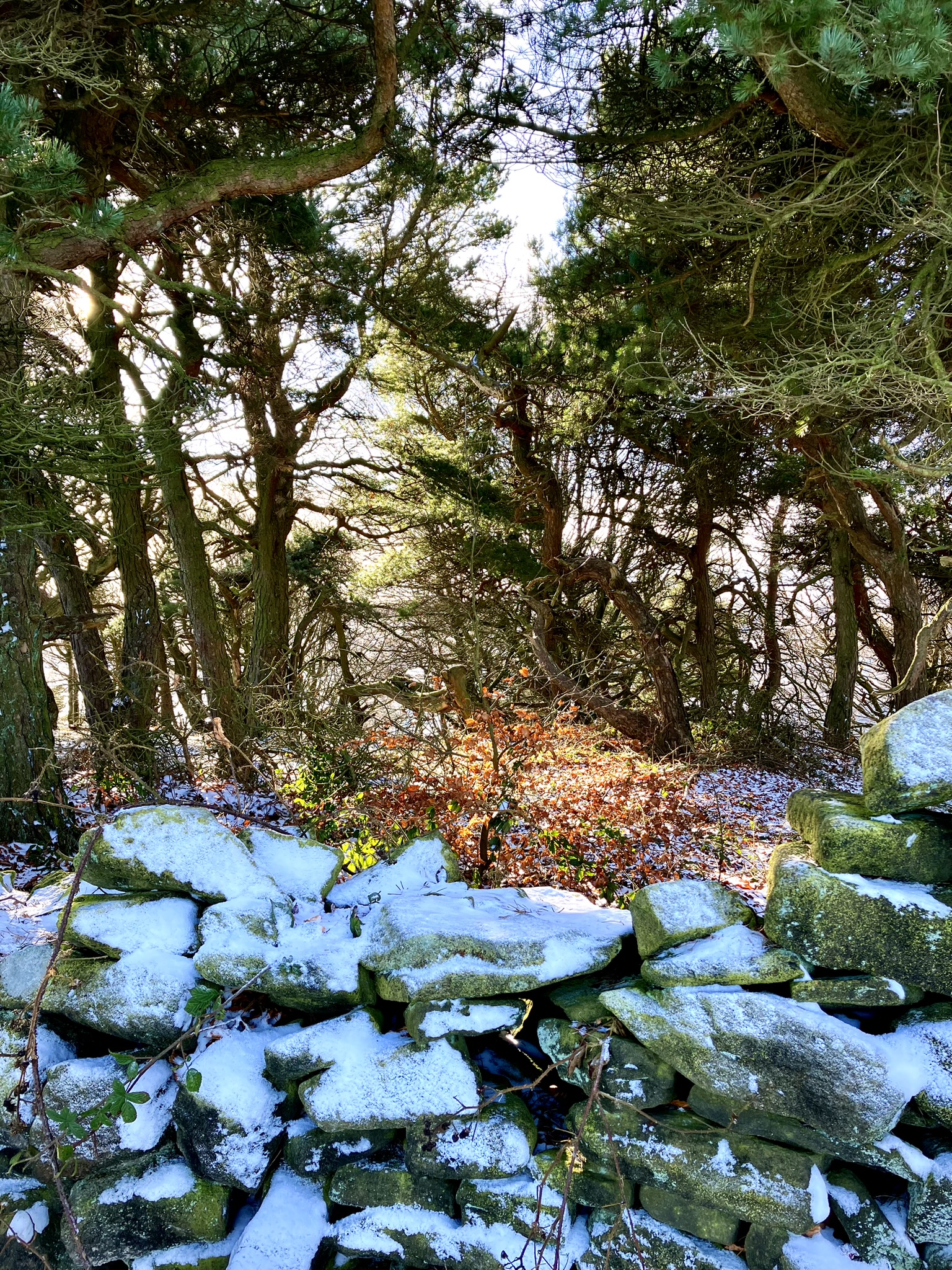 A snowy wall