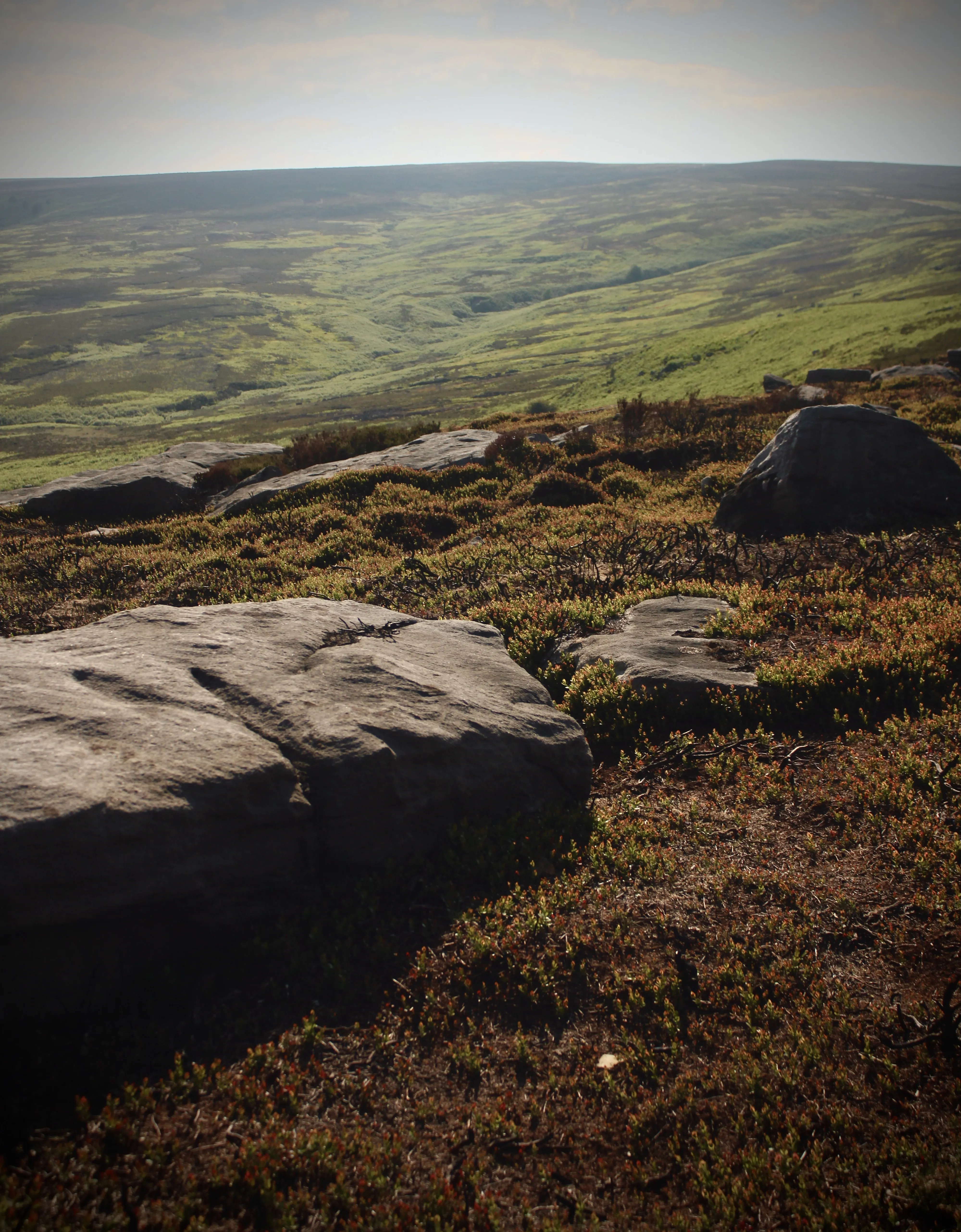 A rocky hillside