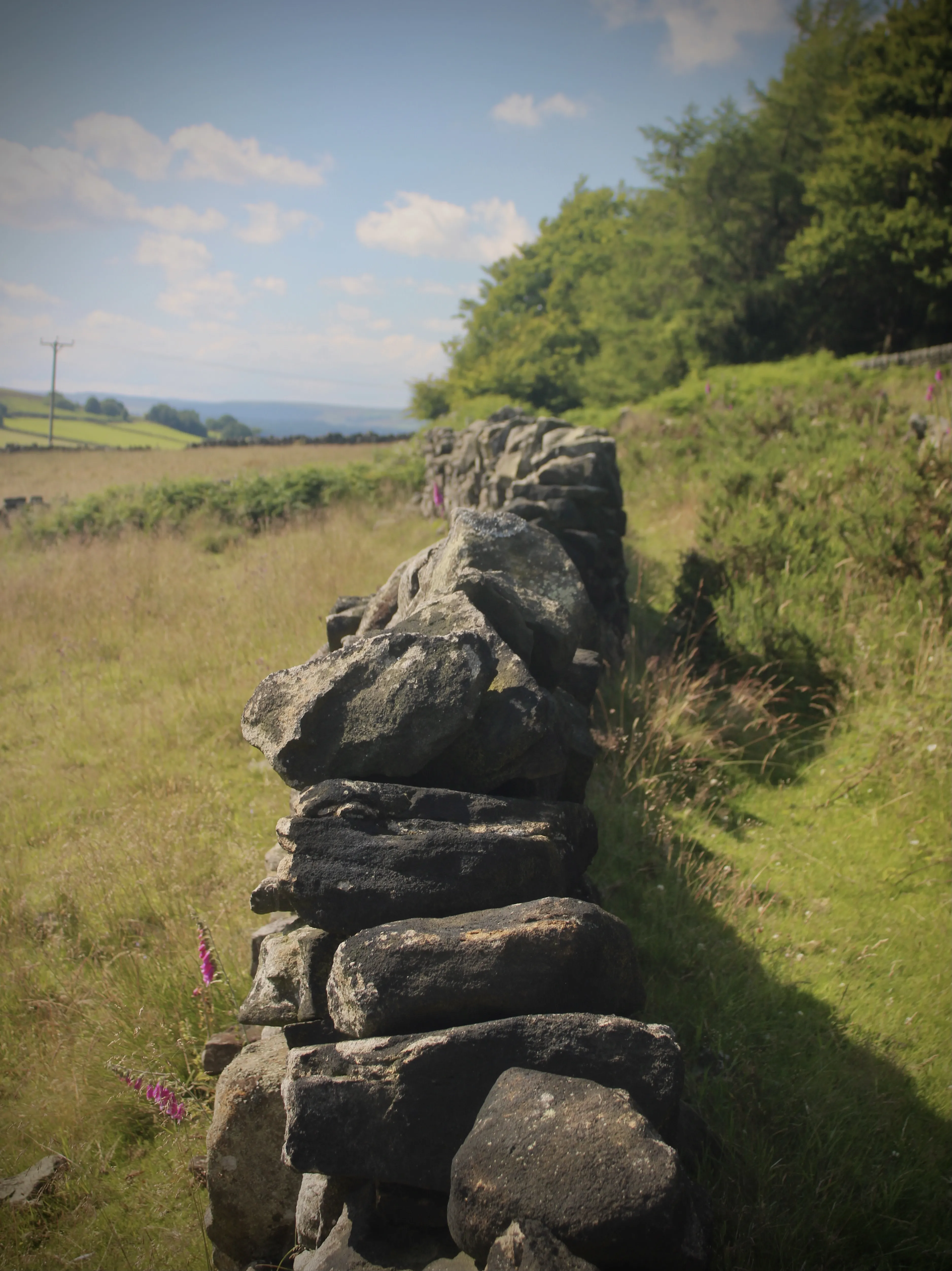 A wall through a field